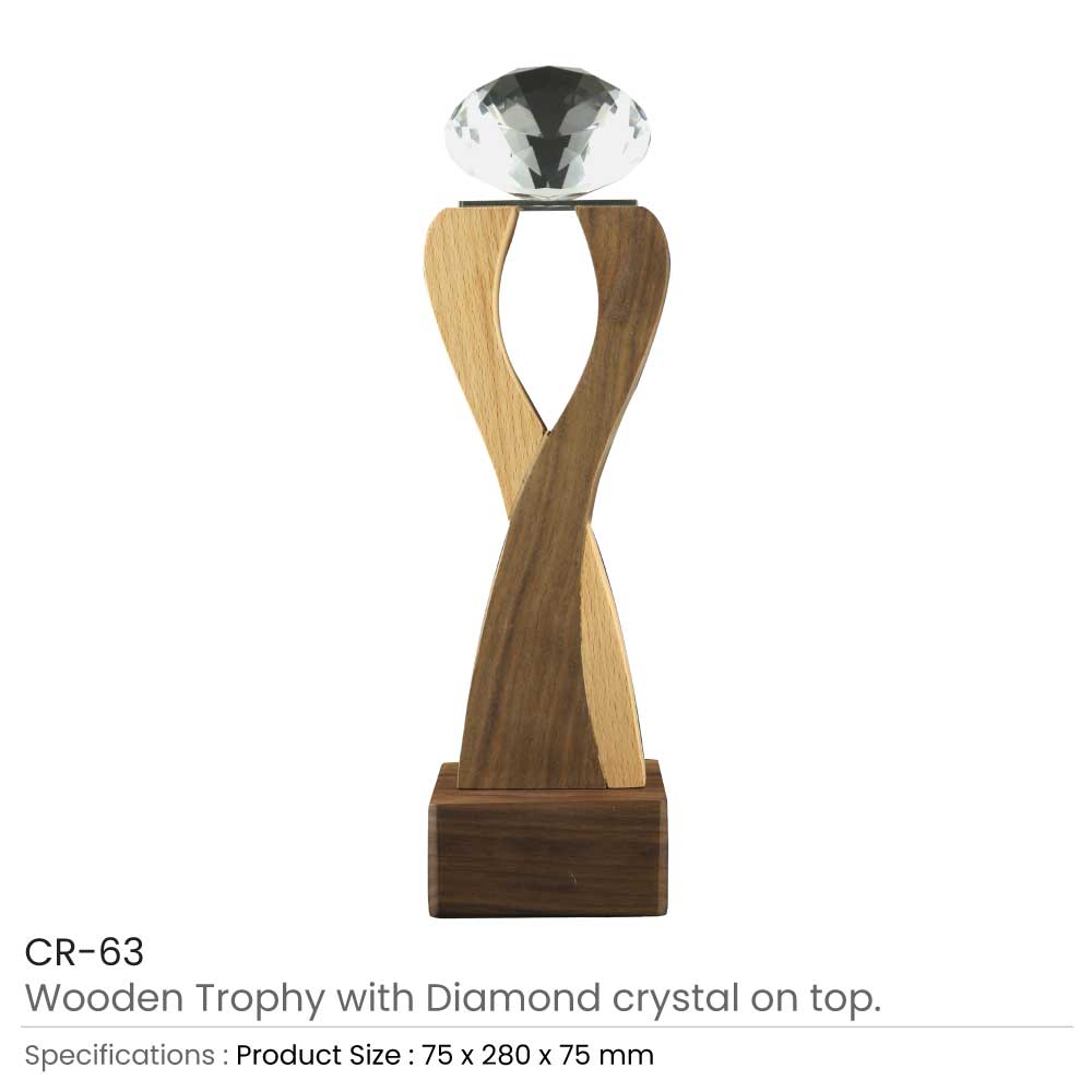 Wooden Trophy with Diamond shape Crystal on Top 4