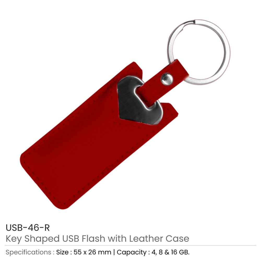 8GB Key Shaped USB with Leather Case 3