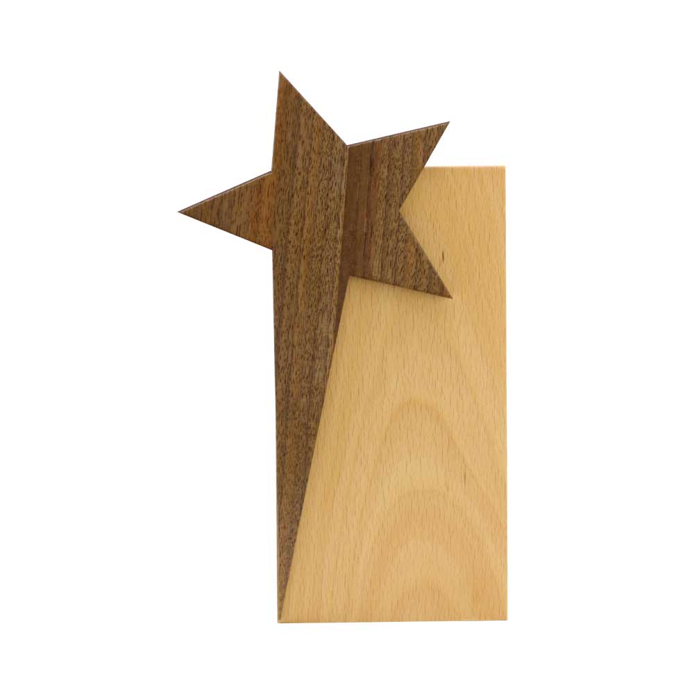 Star Design Wooden Trophy Award with Gift Box 1