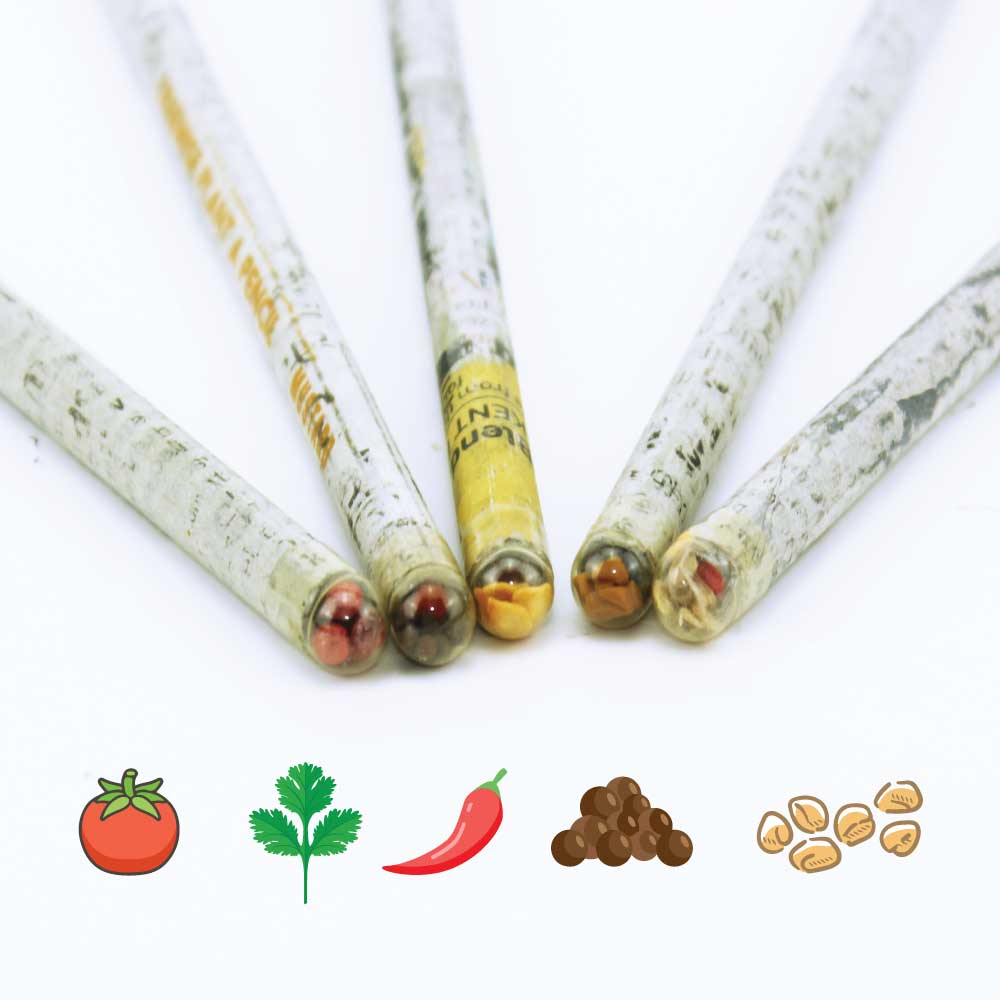 Plant A Pencil Kit 2