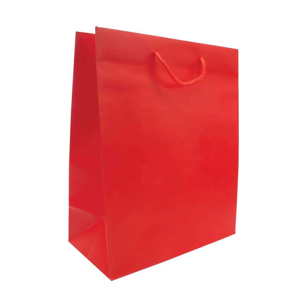 Red Paper Shopping Bags 1