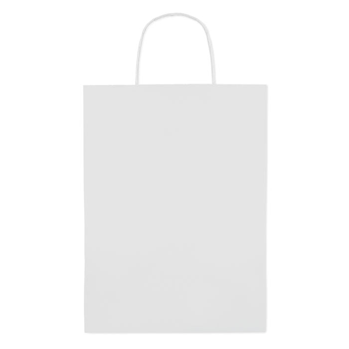 Large Gift paper bag 3