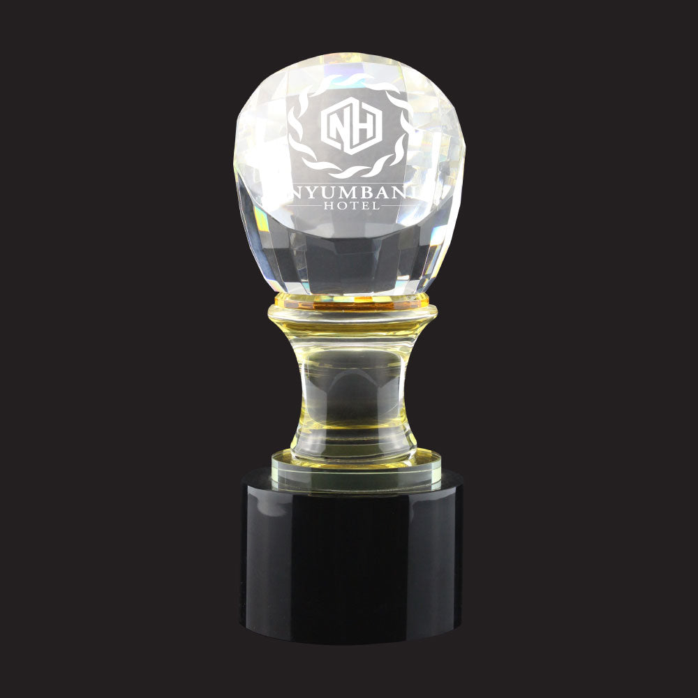 Crystal Glass Trophy in Wooden Box 2