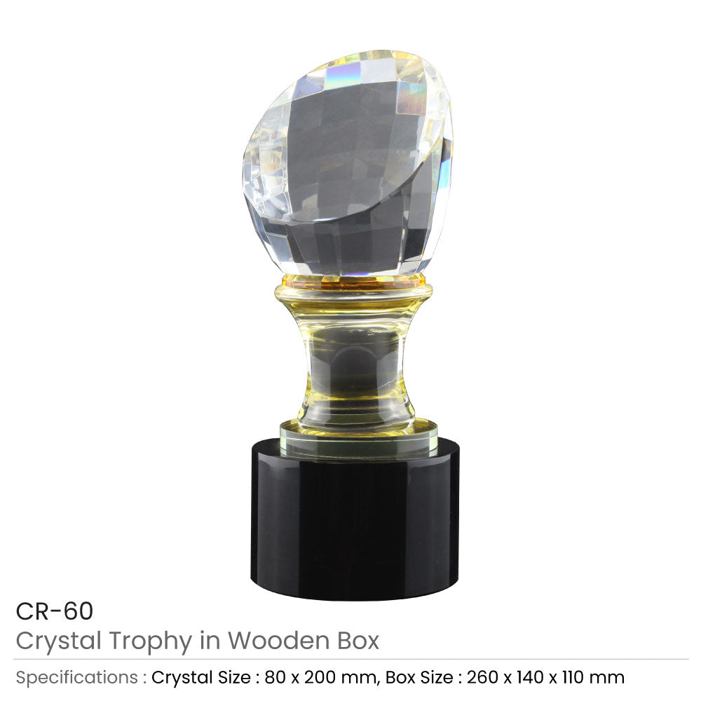 Crystal Glass Trophy in Wooden Box 3