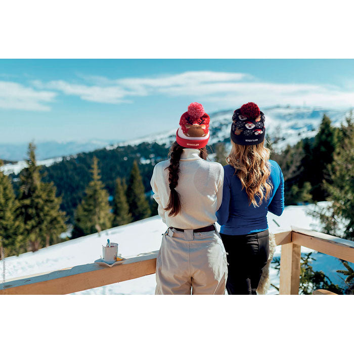 Christmas beanie with 6 LED 3