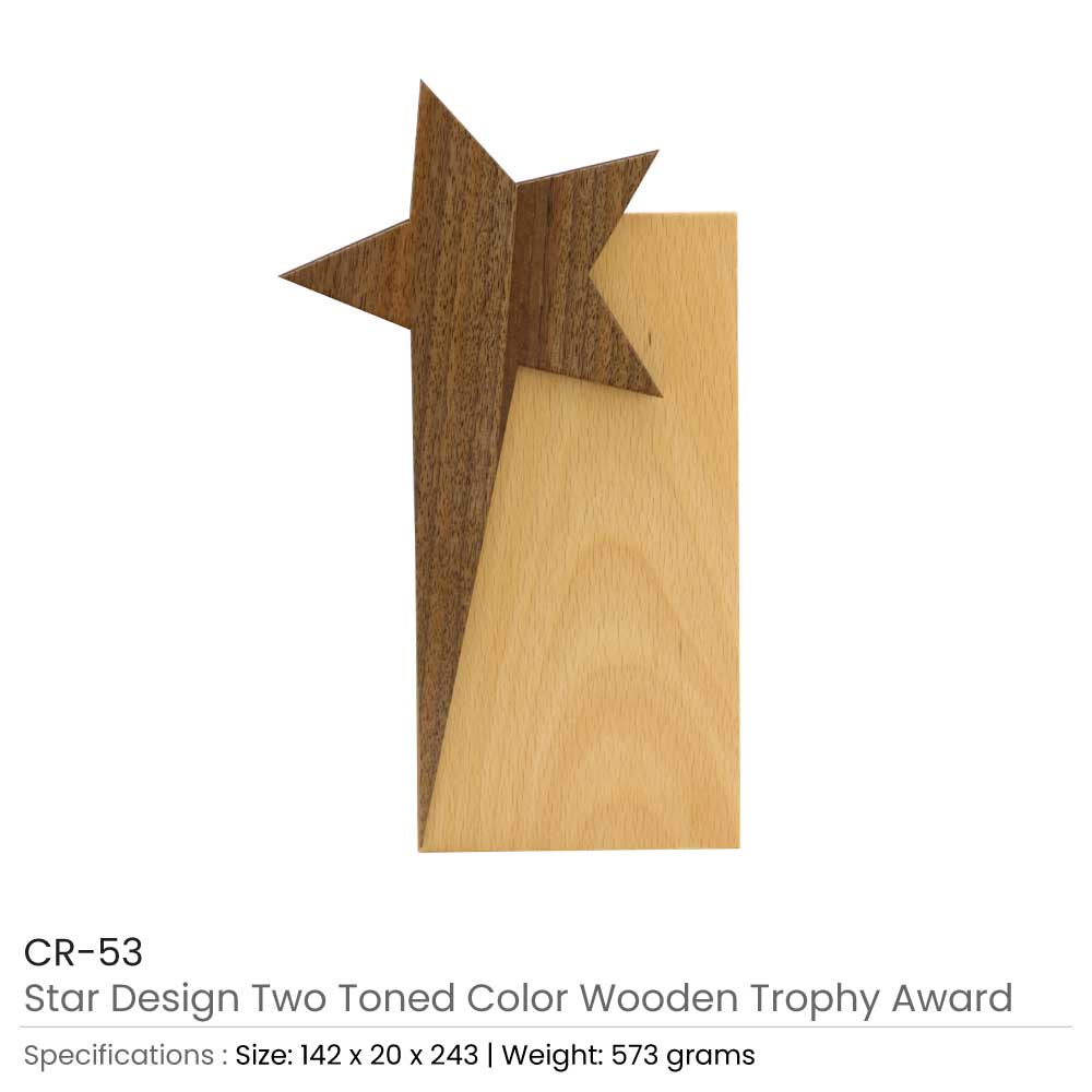 Star Design Wooden Trophy Award with Gift Box 3