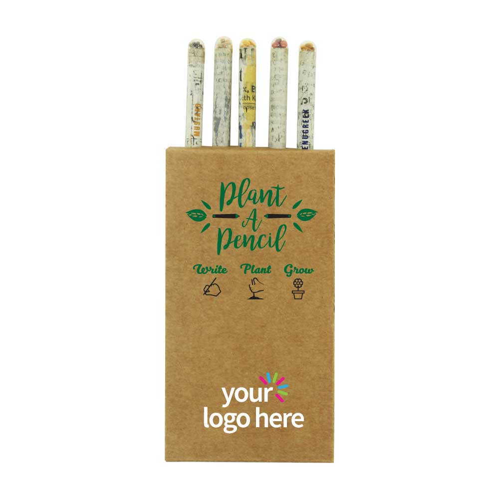  Plantable A Pencils Set  3
