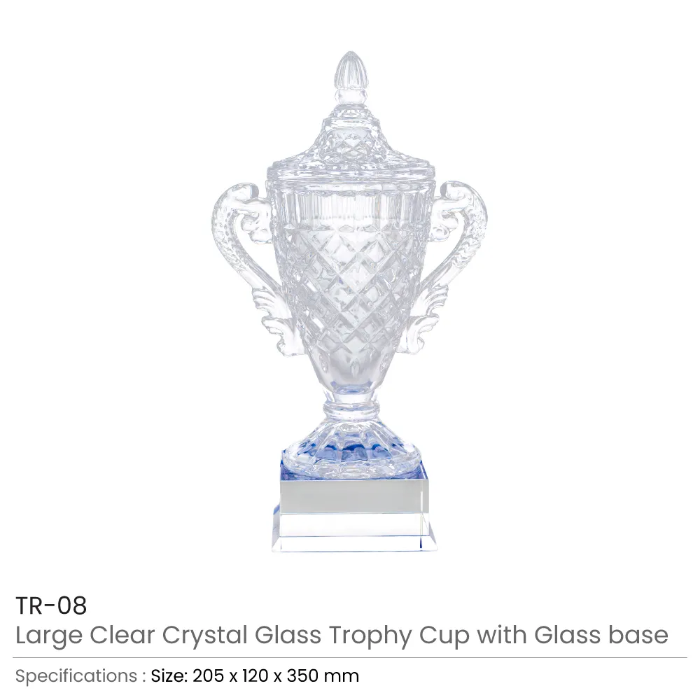 Large Crystal Glass Trophy Cup with Chocolate Gift Edition in Luxury Bo 3