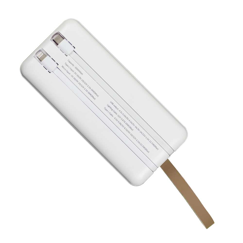 Fast Charging Powerbank 30,000 mAh with Flashlight 7