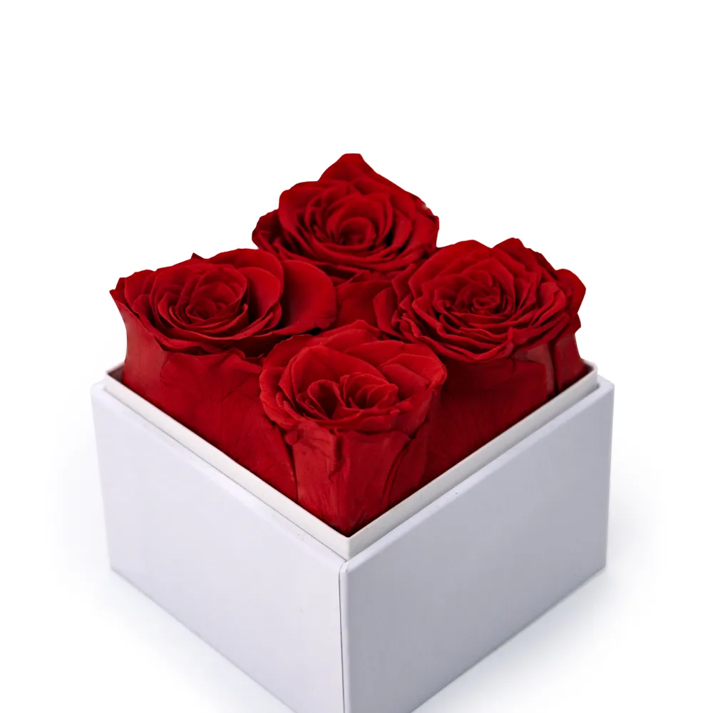 Forever Natural Flowers Gift Box White, Clear Acrylic Lid, 4Pcs Long Life Roses 3