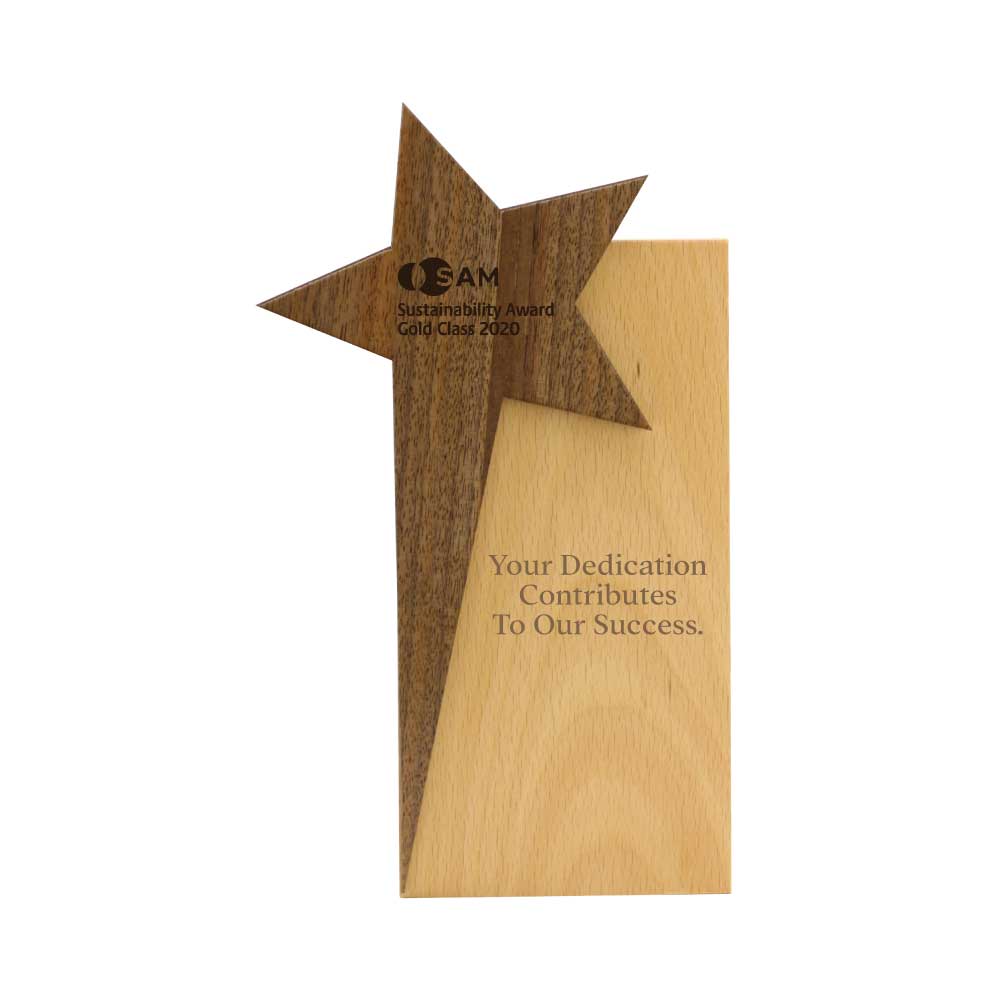 Star Design Wooden Trophy Award with Gift Box 3