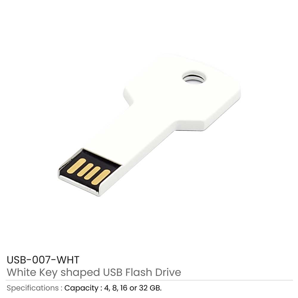 USB Flash Drives Key Shaped 4