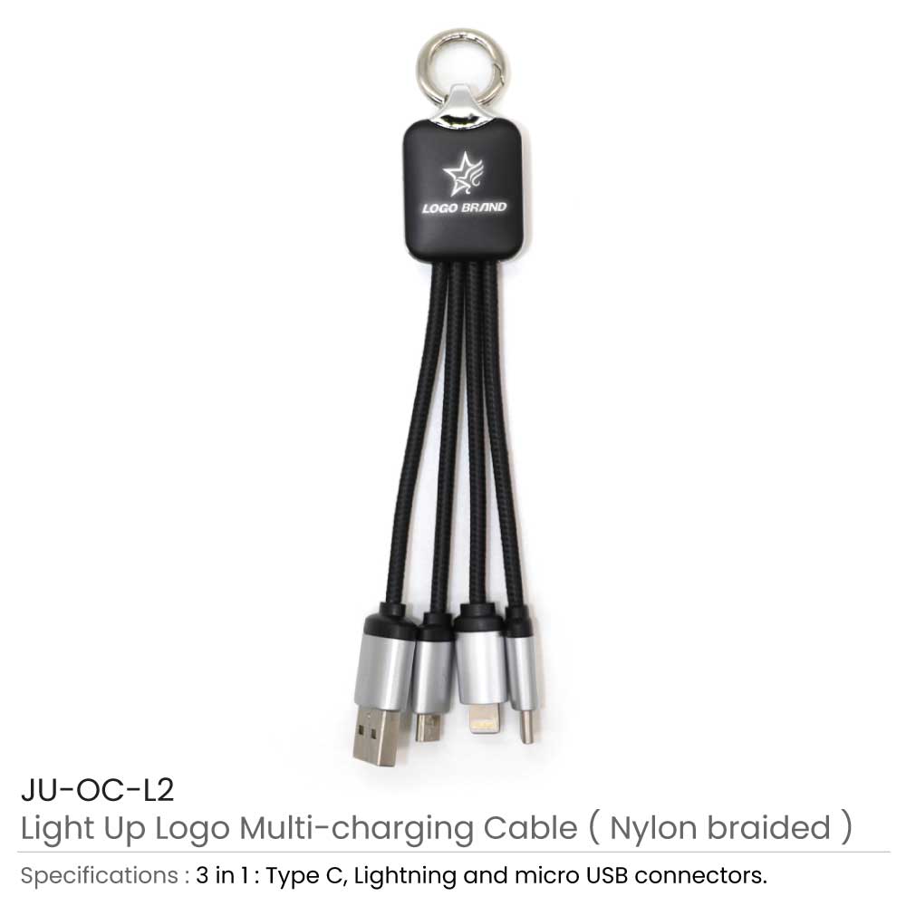 Light Up Multi Charging Cable 3