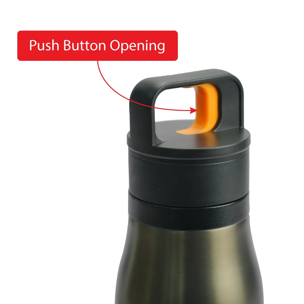 Double Wall Stainless Steel Bottles with Push Button – 500 ml 6