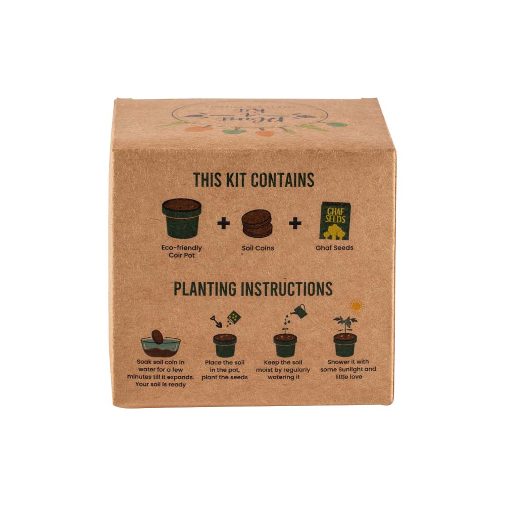 Plantable Kit with GHAF Seeds in Kraft Box – Ramadan Gifts 7