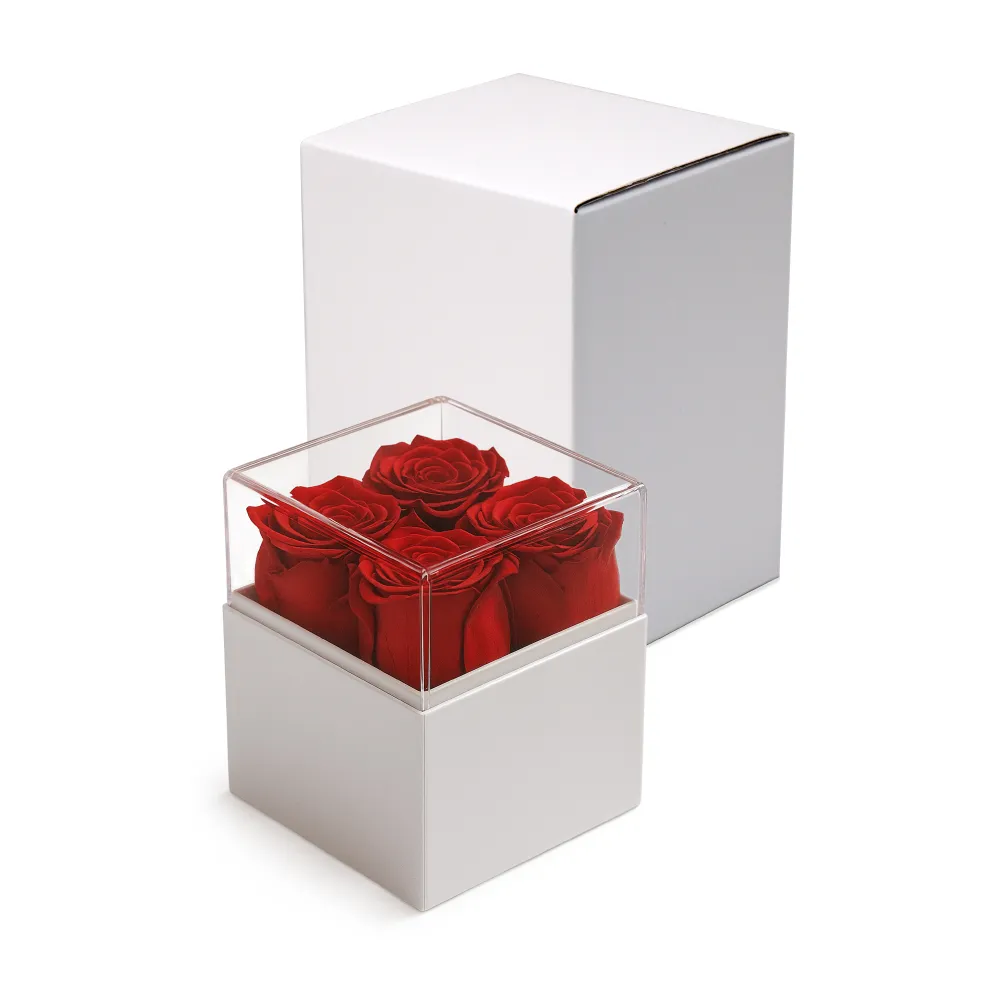Forever Natural Flowers Gift Box White, Clear Acrylic Lid, 4Pcs Long Life Roses 6