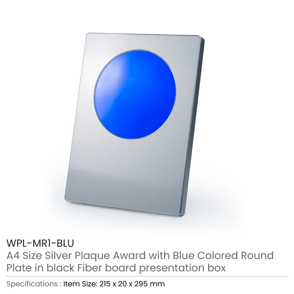 A4 Aluminum Award Plaques with Round Colored Plate and Stand 4