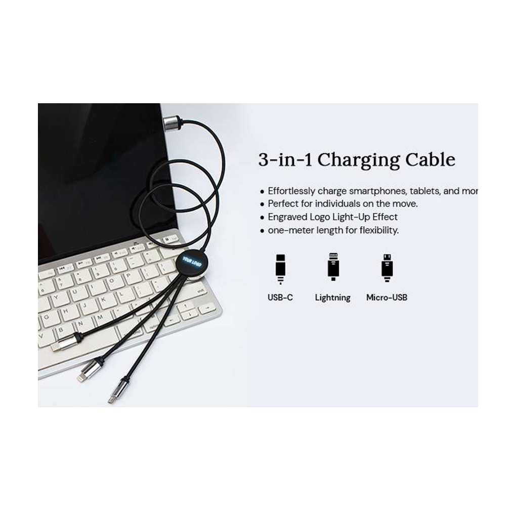 Light up Logo Charging Cable 4