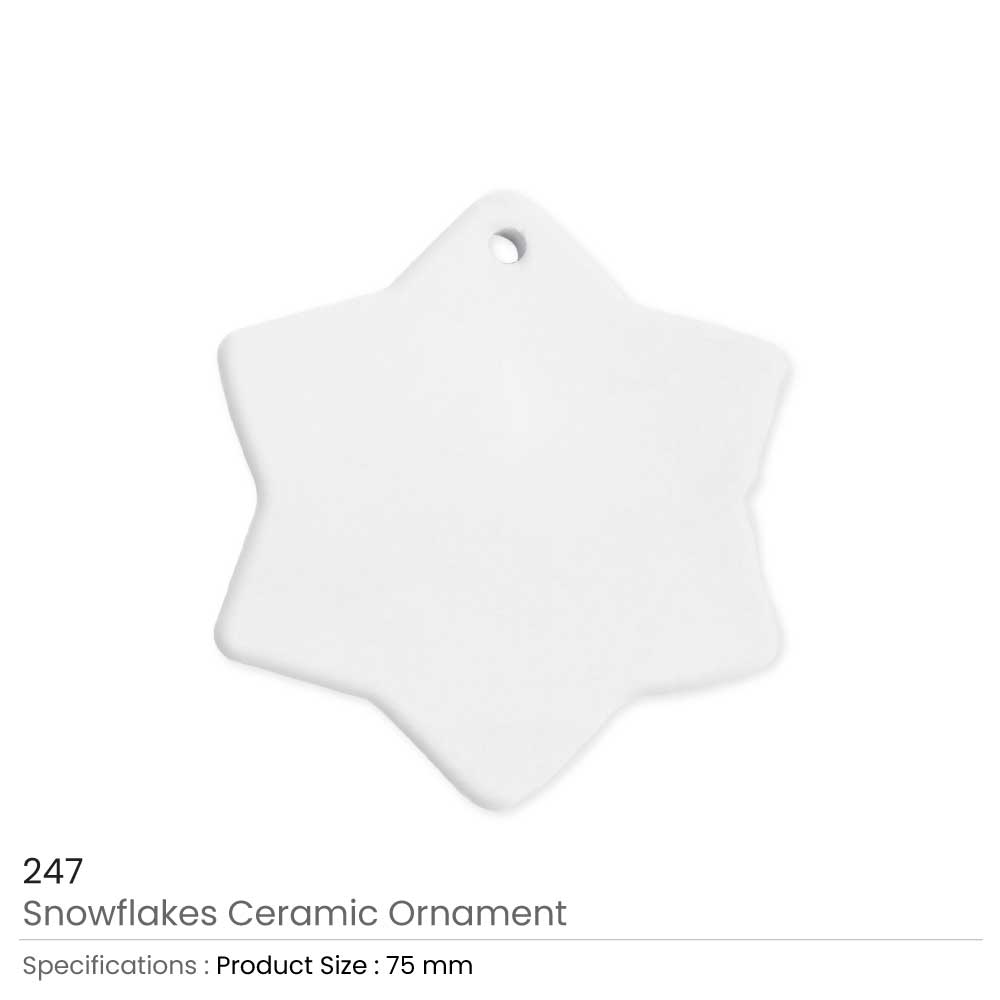 Snowflake Ceramic Ornaments 2