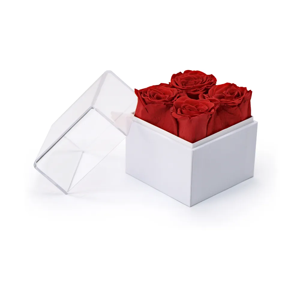 Forever Natural Flowers Gift Box White, Clear Acrylic Lid, 4Pcs Long Life Roses 2