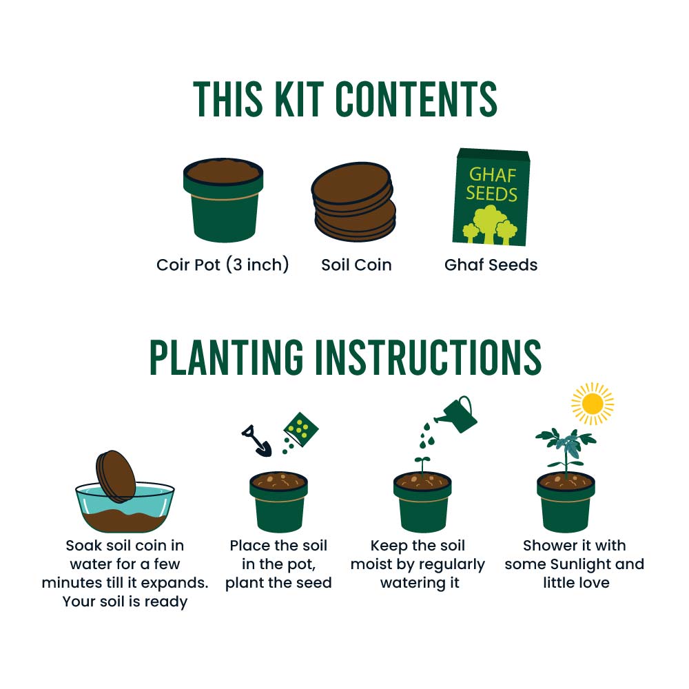 Plantable Kit with GHAF Seeds in Kraft Box – Ramadan Gifts 6