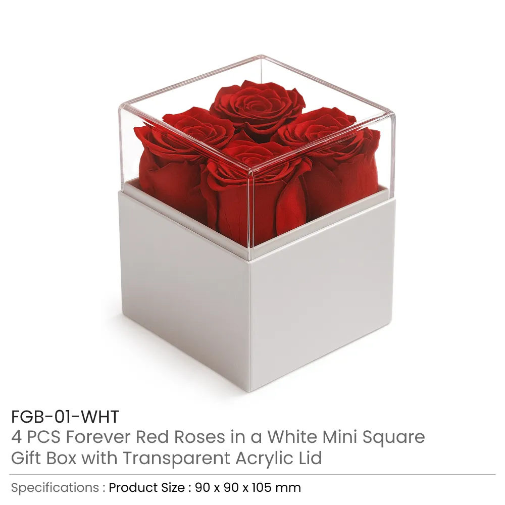 Forever Natural Flowers Gift Box White, Clear Acrylic Lid, 4Pcs Long Life Roses 4