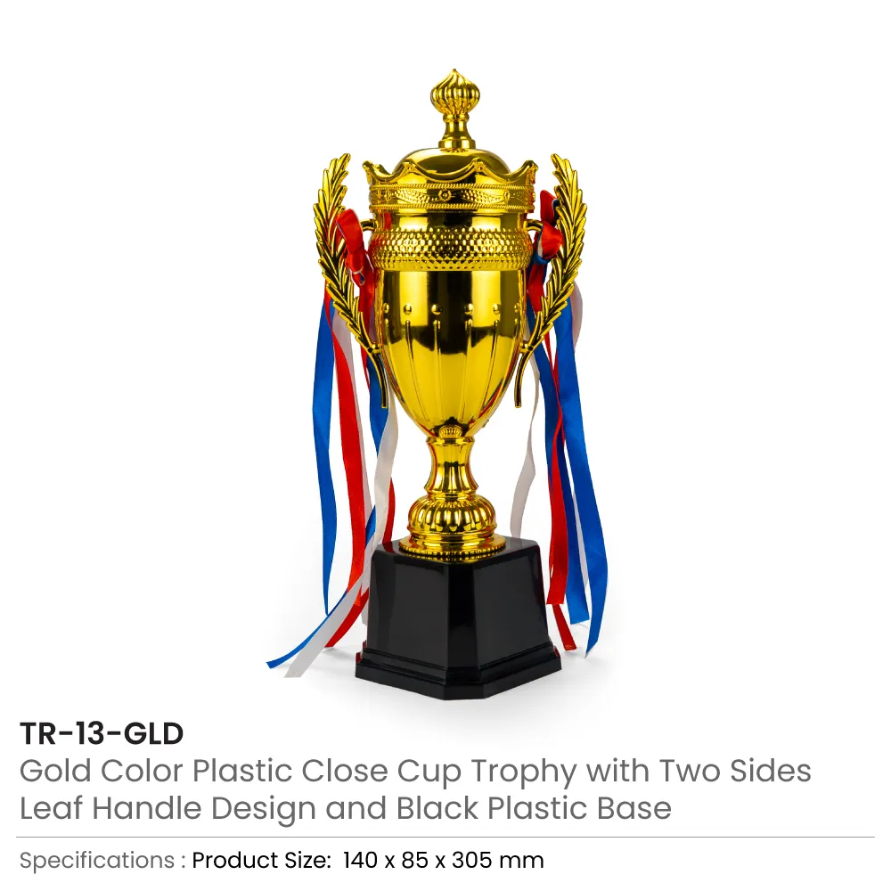 Small Cup Trophy with Removable Ribbon Attached to Both Handles 2