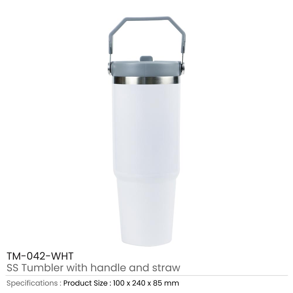 Tumbler with Handle & Straw SS Double Wall 900ml 2