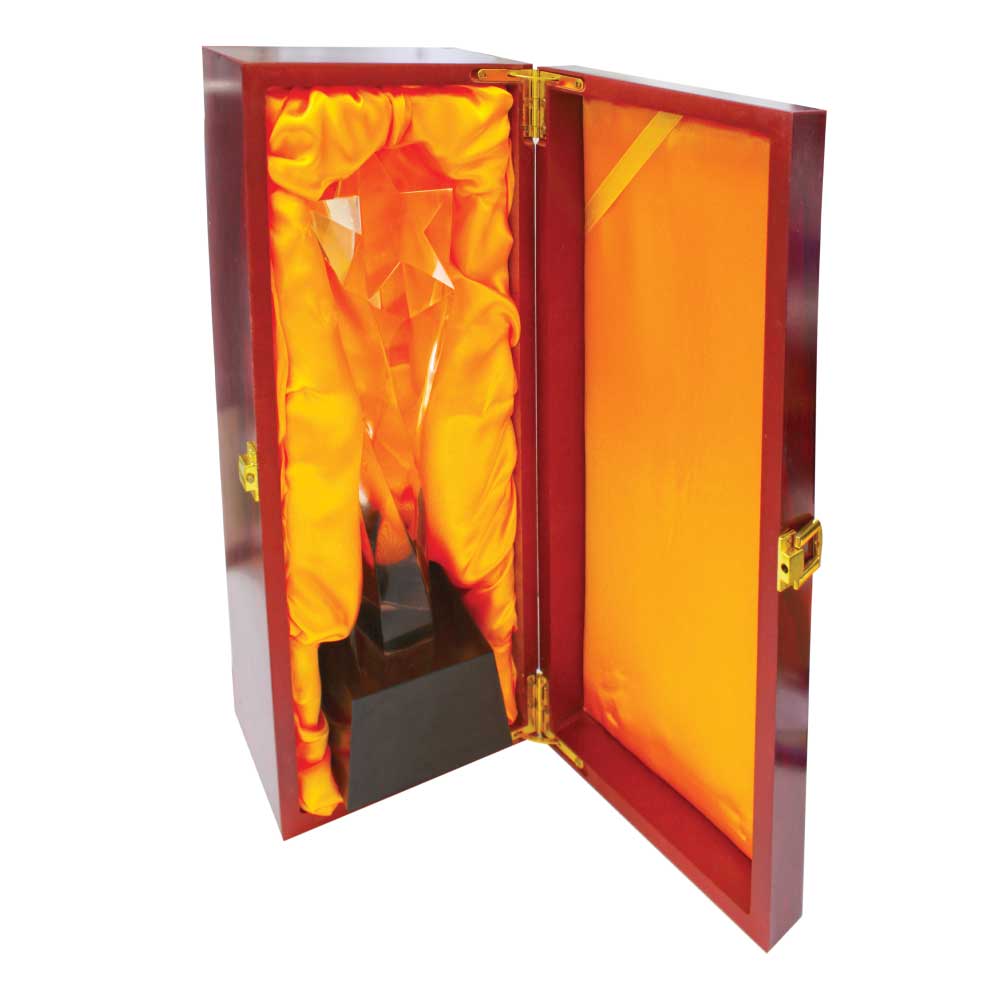 Crystal Star Trophy CR-13 3