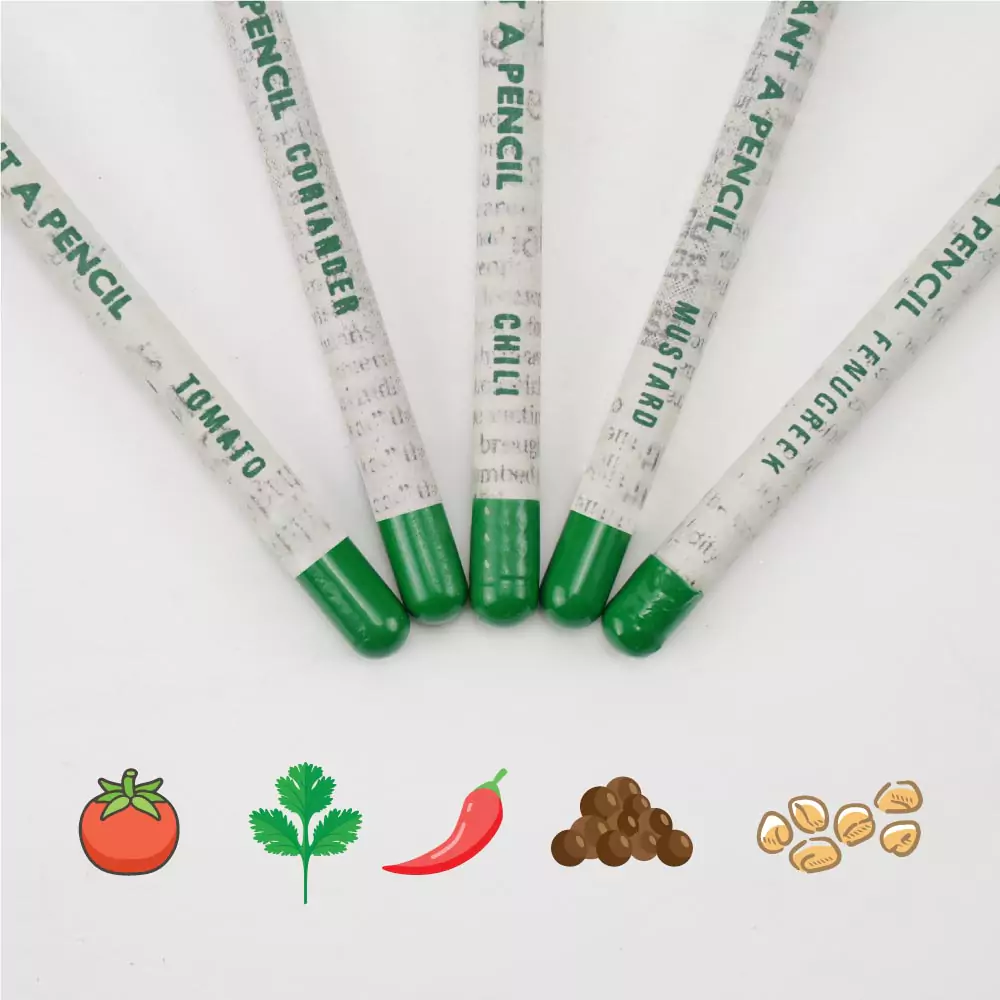 Plantable Pencils Set with Seeds – Ramadan Gifts 6