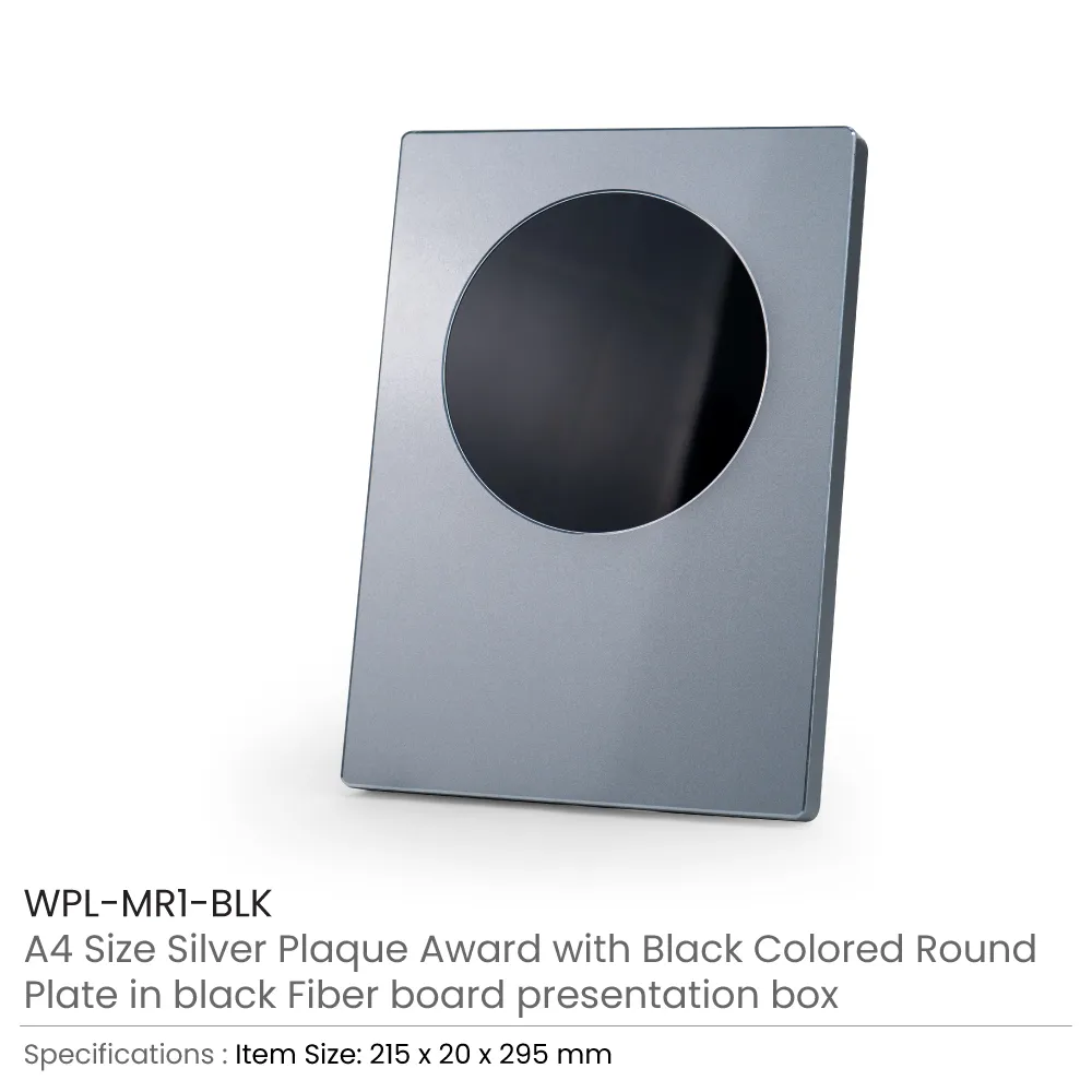 A4 Aluminum Award Plaques with Round Colored Plate and Stand 3