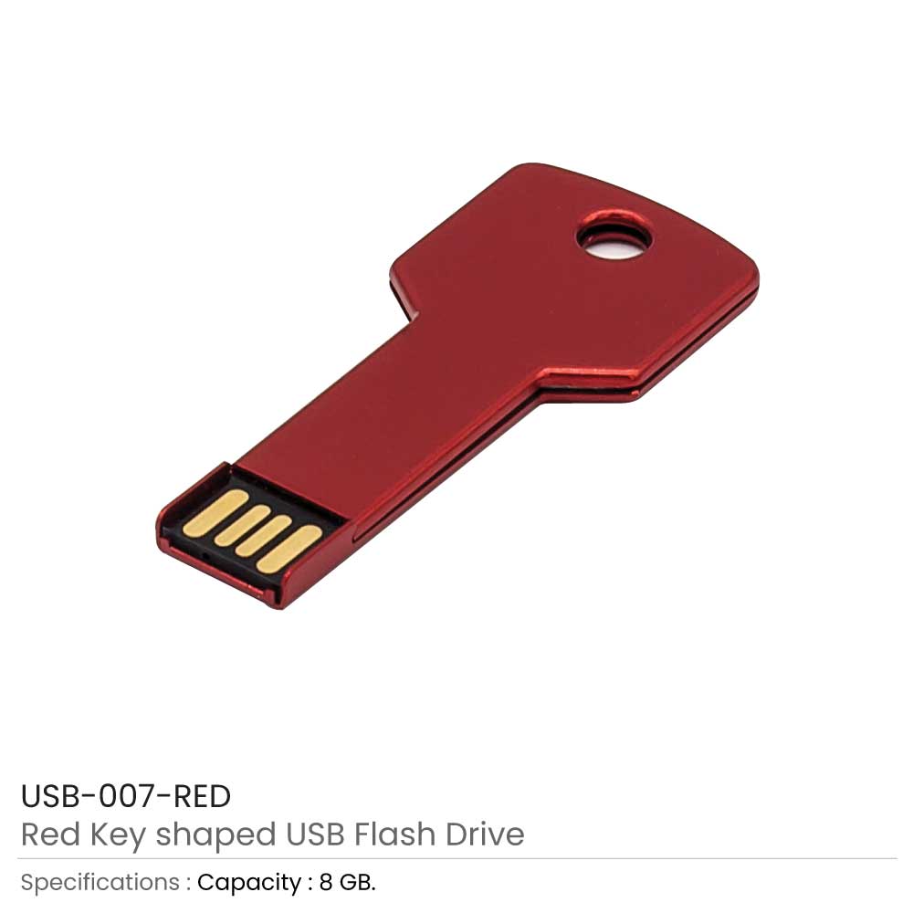 Key Shaped USB Flash Drives 2