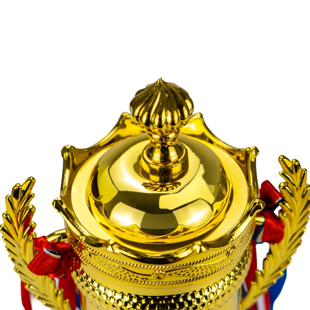 Small Cup Trophy with Removable Ribbon Attached to Both Handles 4