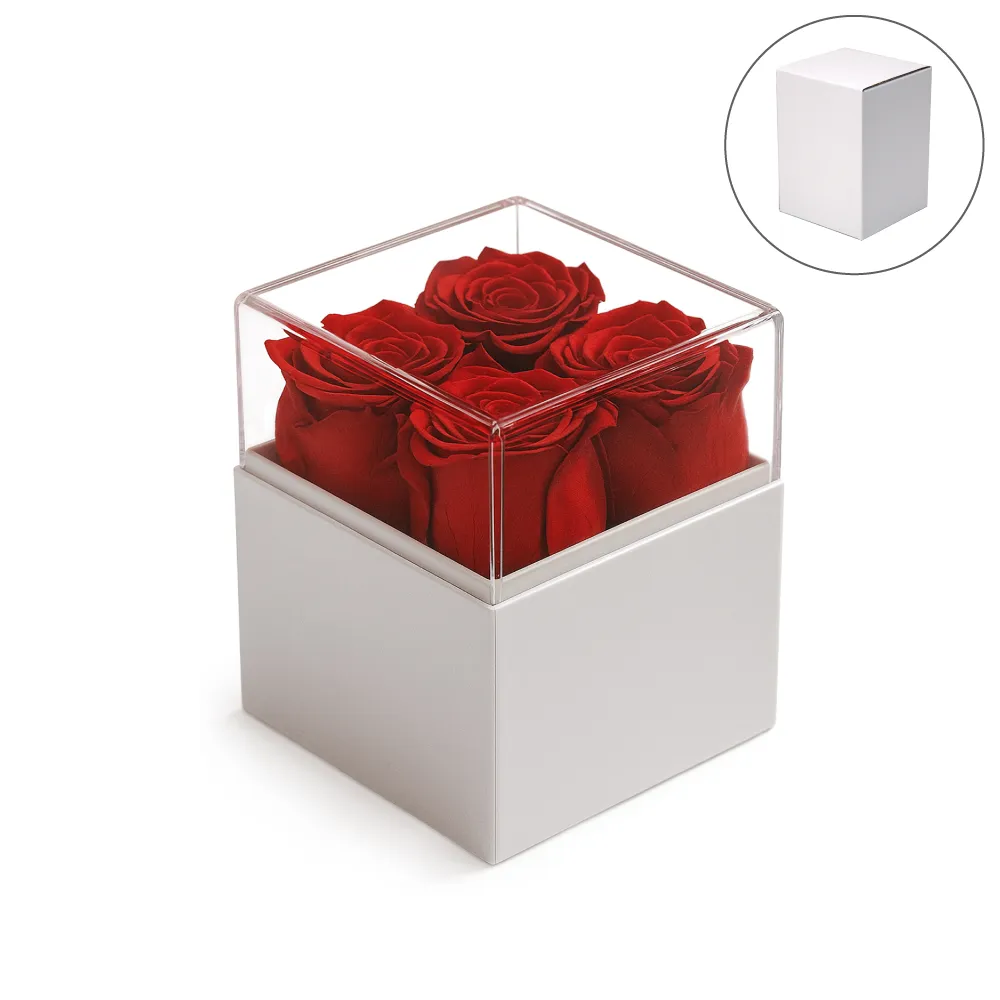 Forever Natural Flowers Gift Box White, Clear Acrylic Lid, 4Pcs Long Life Roses 5